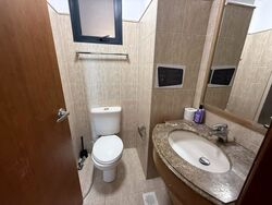 Tanglin View (D3), Condominium #471755401